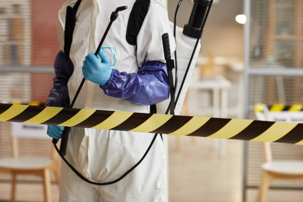 Professional Hoarding Cleanup technician working in Ringle, WI
